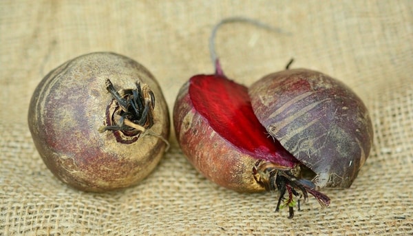 nuotrauka