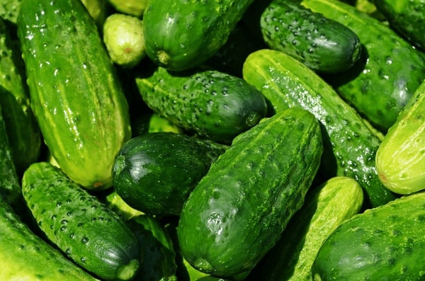 nuotrauka