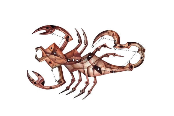 nuotrauka