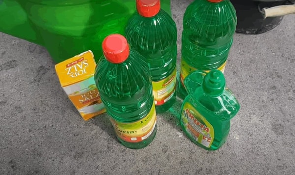 nuotrauka
