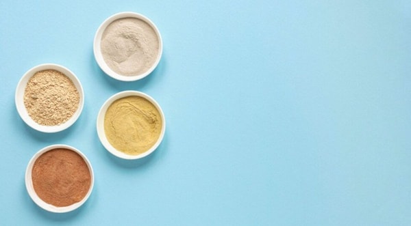 protein powder
