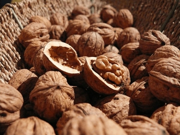 nuotrauka