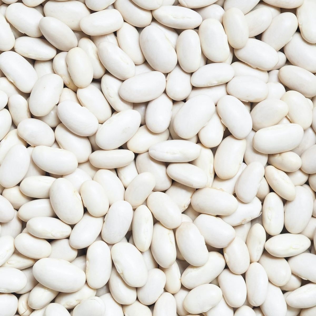 Cannellini Beans