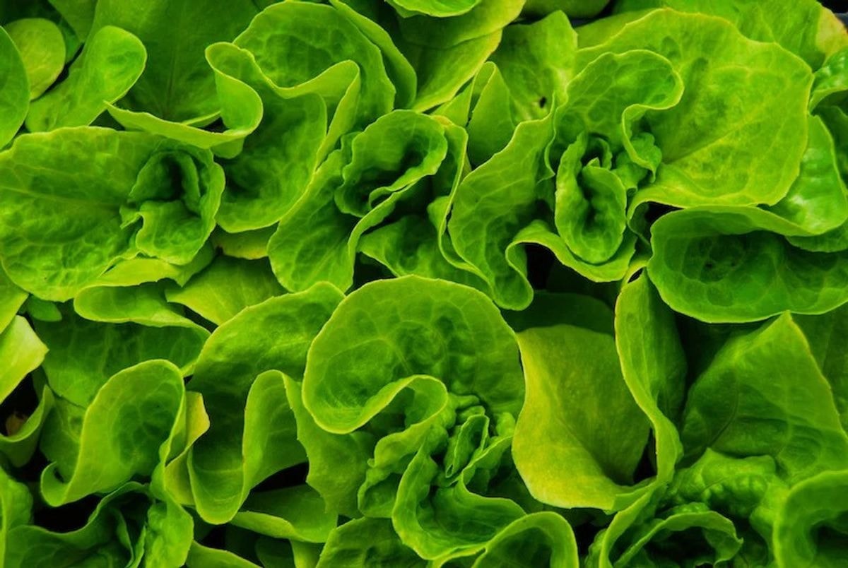 Collard Greens