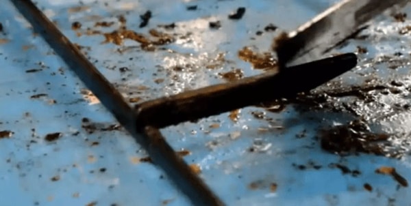 Nuvalykite drėgna kempinėle arba šluoste