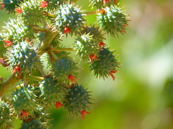 nuotrauka
