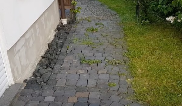 nuotrauka