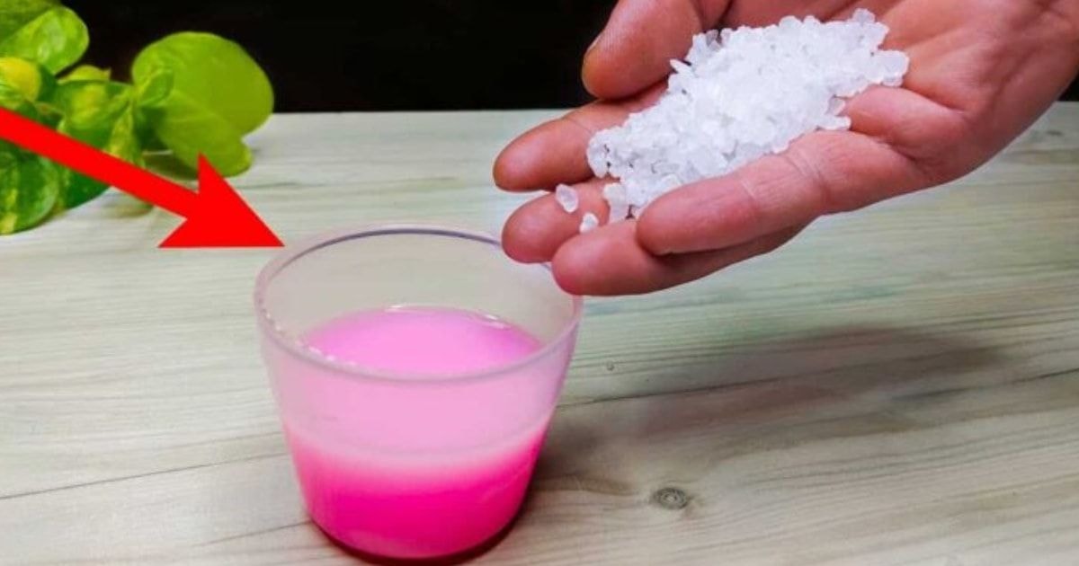 Kodėl patyrusios namų šeimininkės pila druską į tualetą? Sužinokite paslaptį!