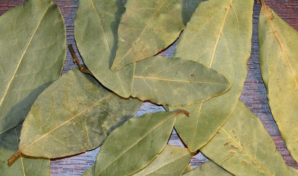 nuotrauka
