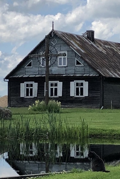 nuotrauka
