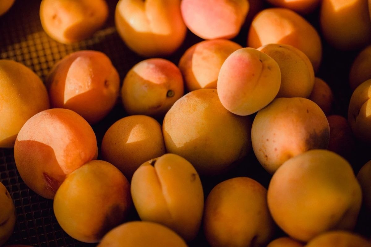 Apricots