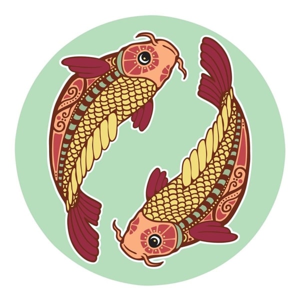 nuotrauka