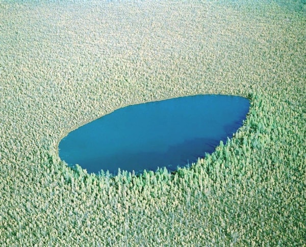 nuotrauka