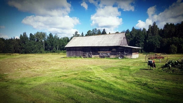nuotrauka