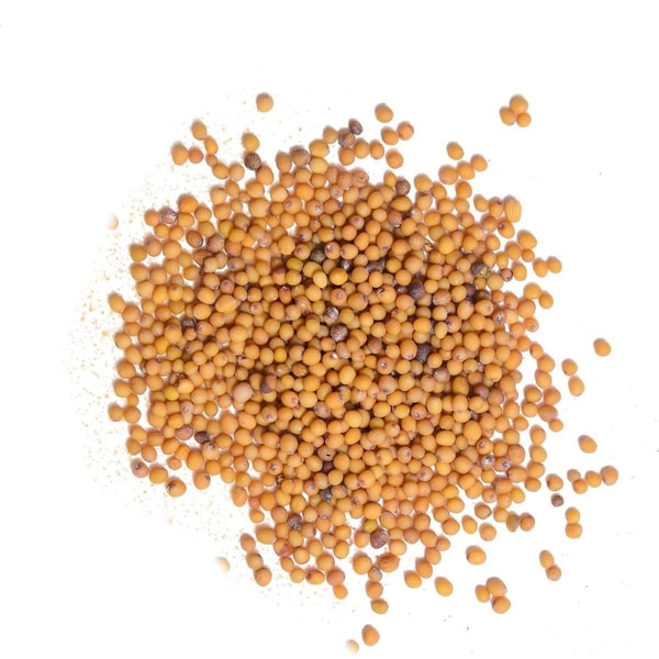 nuotrauka