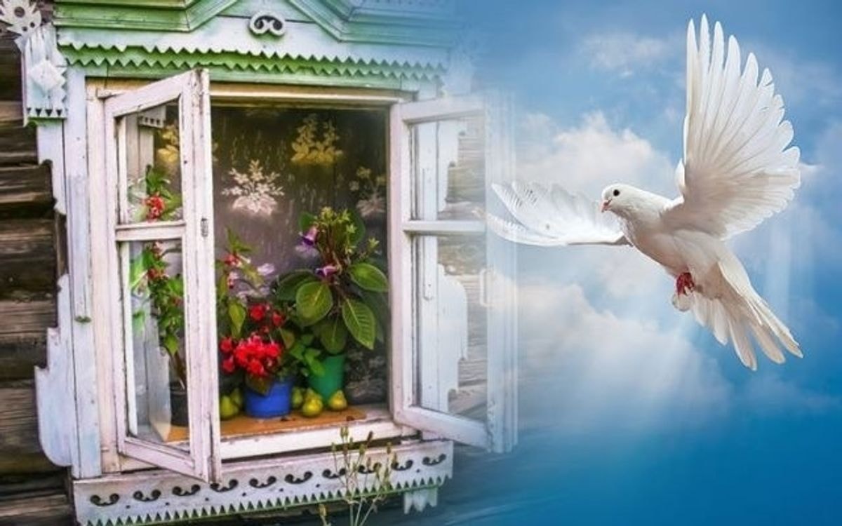 Dvasių diena: ar šios dienos tradicijos leidžia eiti į kapines ir dirbti sode