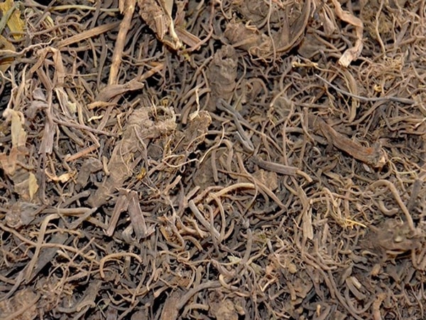 nuotrauka