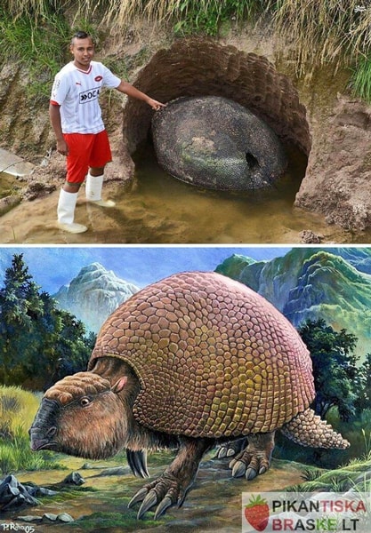 nuotrauka