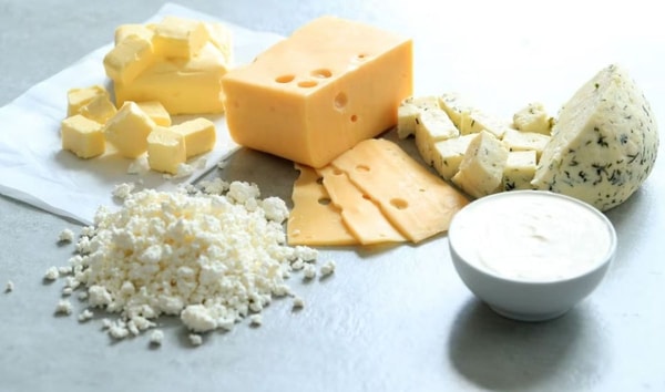 dairy foods
