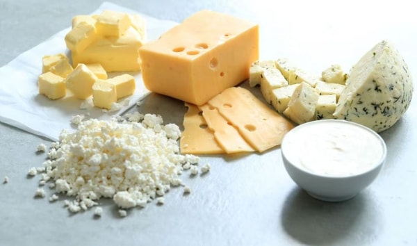 dairy foods