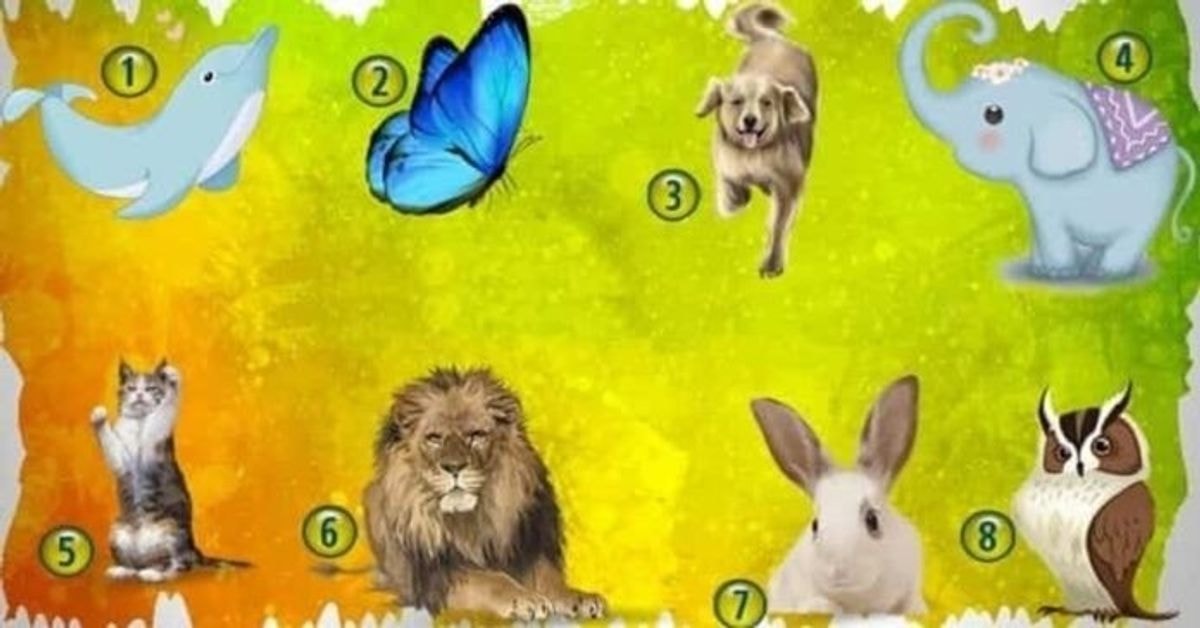 Testas: sužinokite, kokią dovaną turite ir kaip ja pasinaudoti!