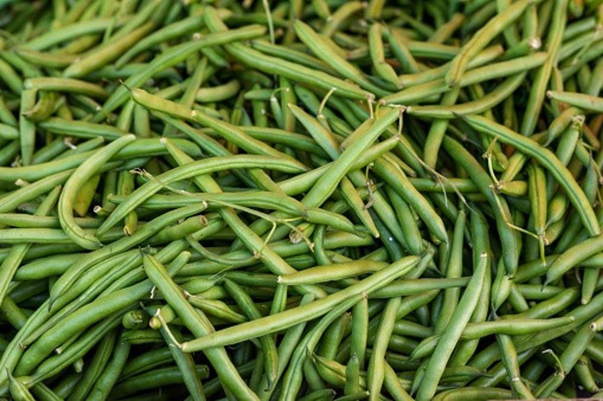 Runner beans