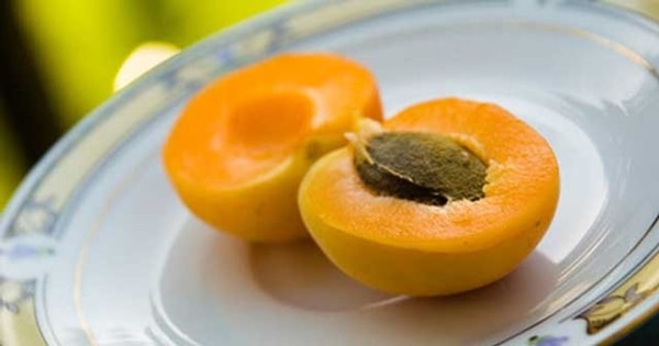 nuotrauka