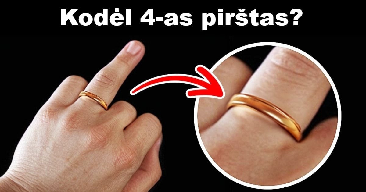 Faktai, Atsakantys Į Visus „Kodėl?“ Klausimus
