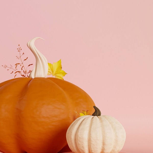 two pumpkins