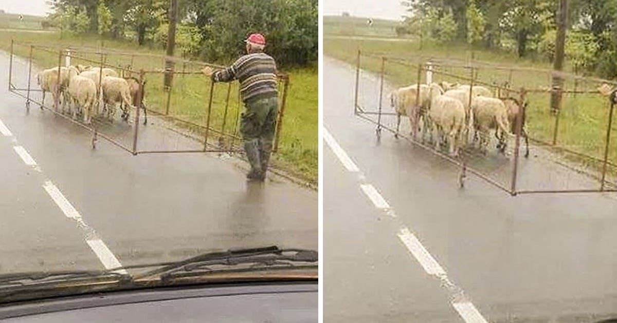 Vyrai, kurie moka labai išradingai susitvarkyti su įvairiausiomis užduotimis