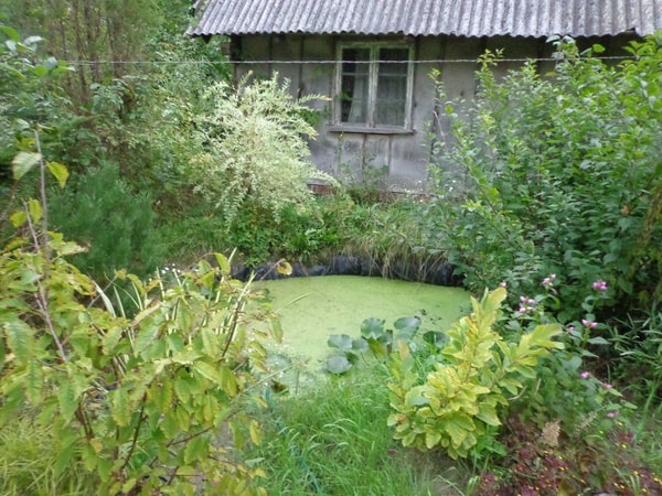 nuotrauka