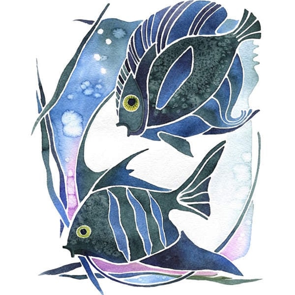 nuotrauka