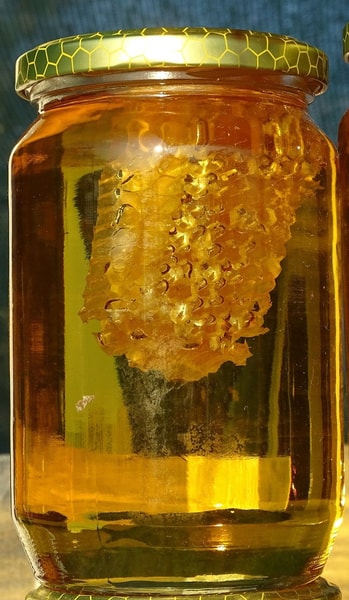 nuotrauka