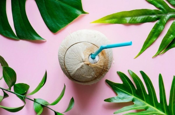 coconut 