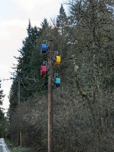 nuotrauka