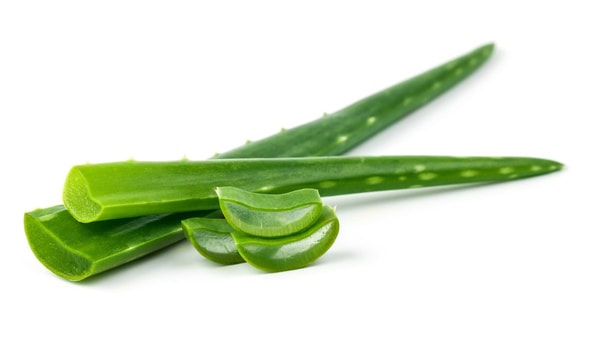 nuotrauka