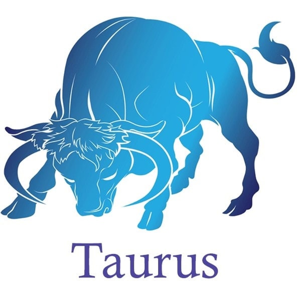 Jautis