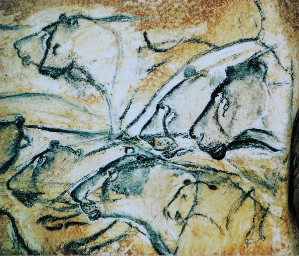 nuotrauka