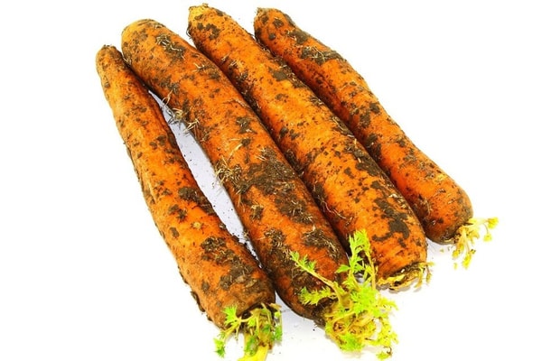 nuotrauka