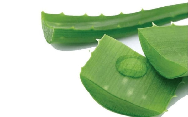 nuotrauka