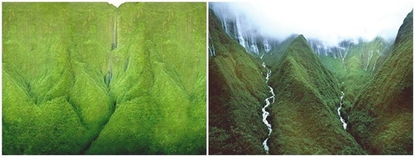 nuotrauka