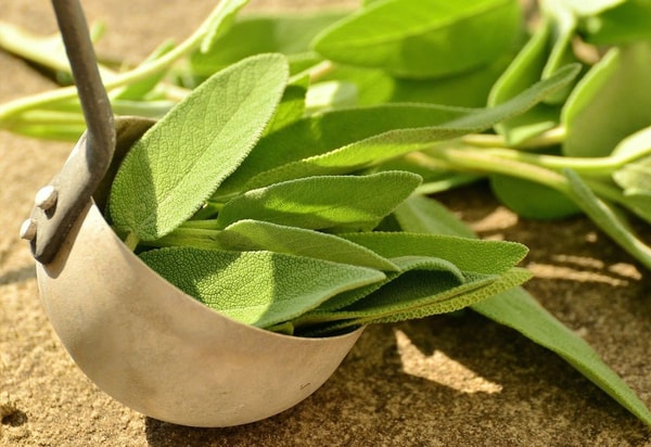 nuotrauka