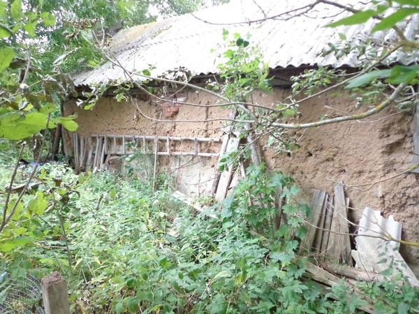 nuotrauka