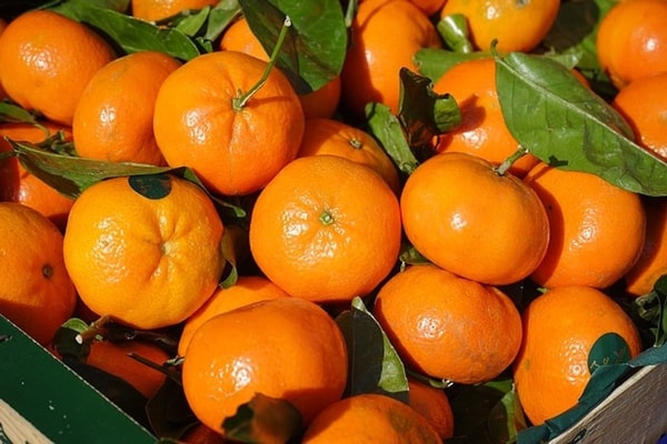 nuotrauka