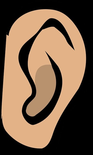 nuotrauka