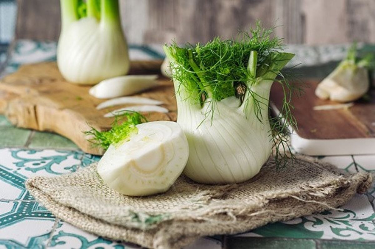Fennel