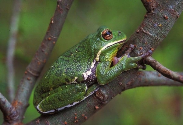 nuotrauka