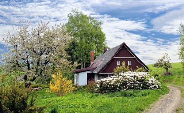 nuotrauka