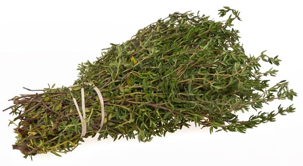 nuotrauka