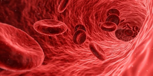 anemija